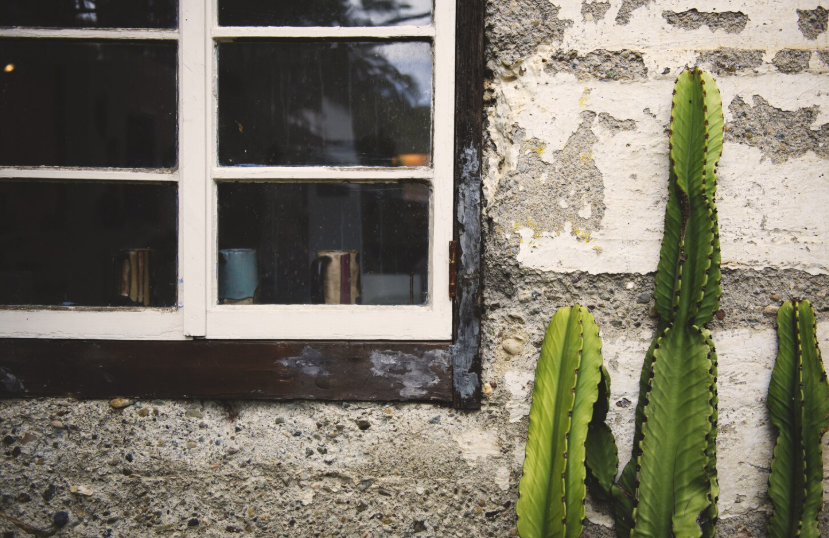 Essential Tips to Find the Best Water Damage Services for Your Australian Home